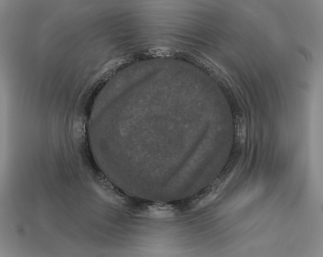 X0000113160603200910021503