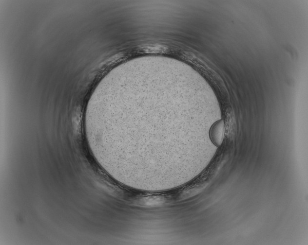 X0000113160604200910021503