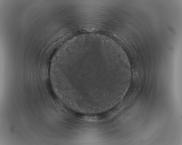 X0000113160606200910021502