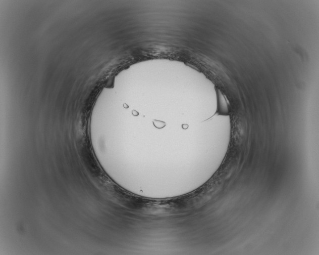 X0000113160607200910021502