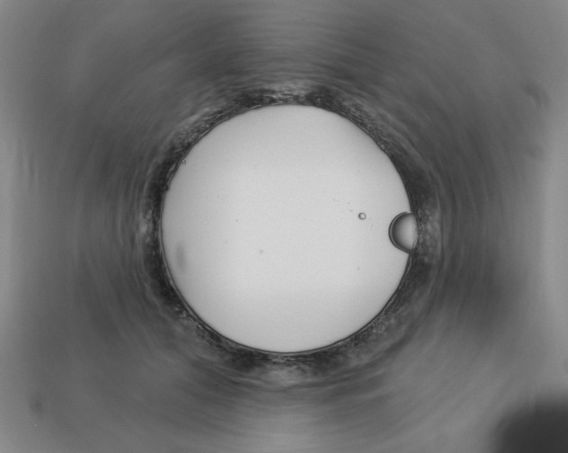 X0000113160608200910021502