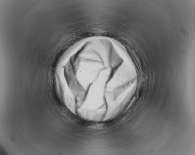 X0000113160609200910021502