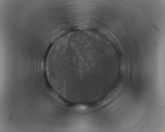 X0000113160610200910021502