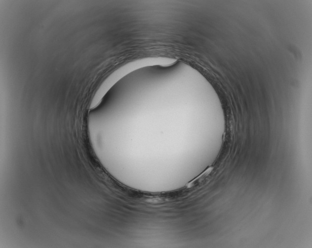 X0000113160611200910021502