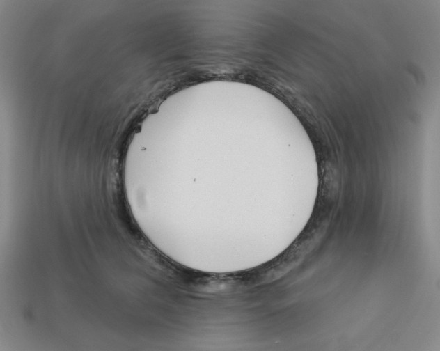 X0000113160612200910021502