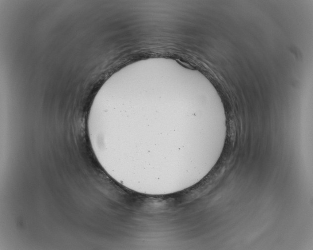 X0000113160613200910021502