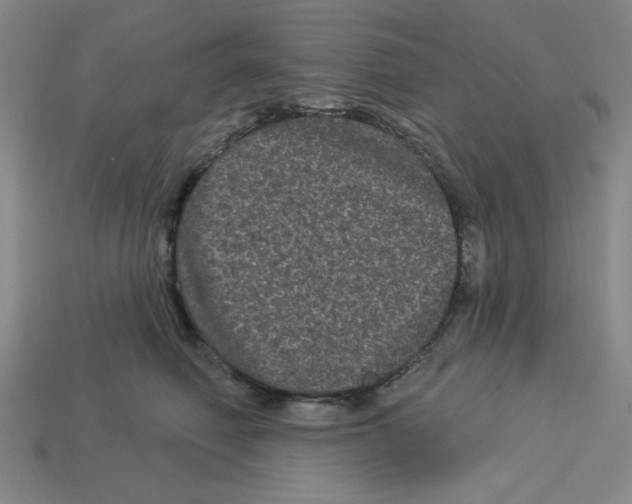 X0000113160614200910021502