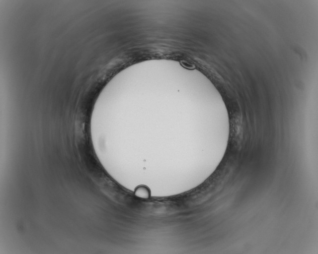 X0000113160615200910021502