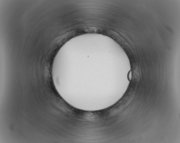 X0000113160616200910021502