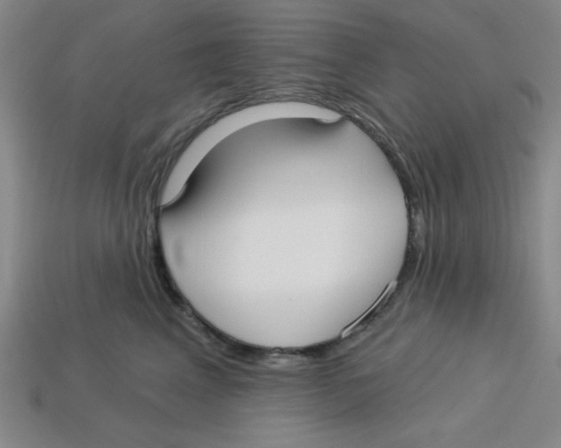 X0000113160617200910021502