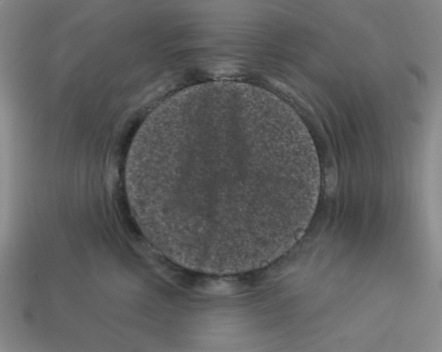 X0000113160618200910021502