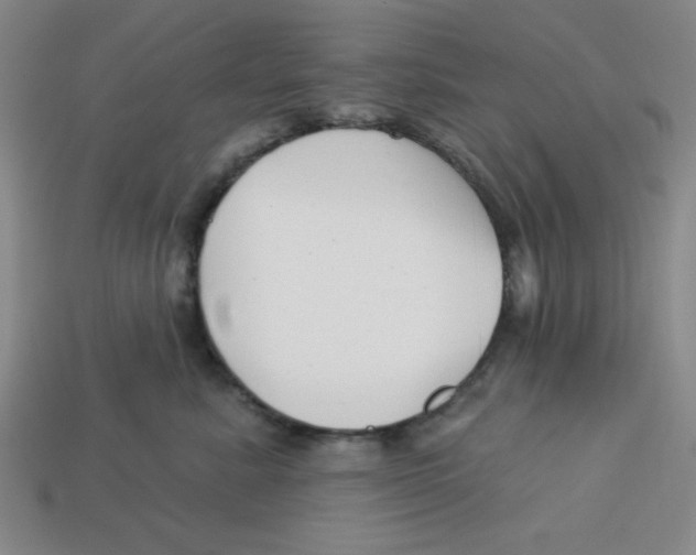 X0000113160619200910021502