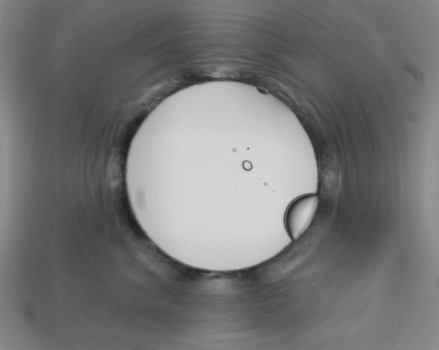 X0000113160620200910021502