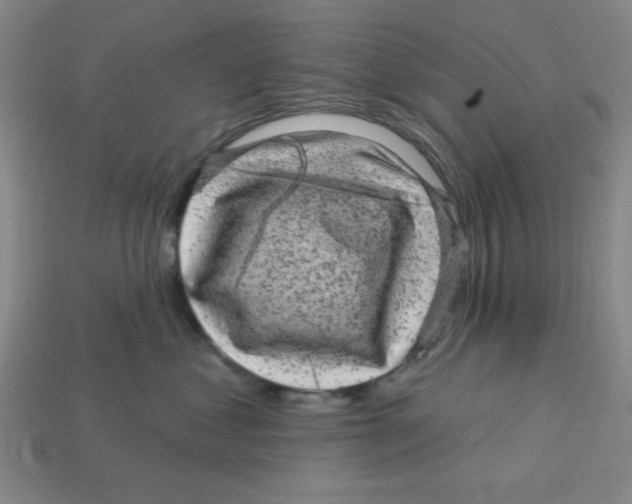 X0000113160621200910021502