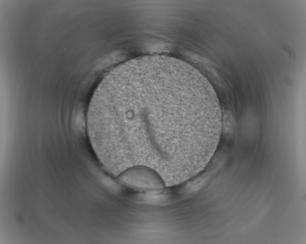 X0000113160622200910021502