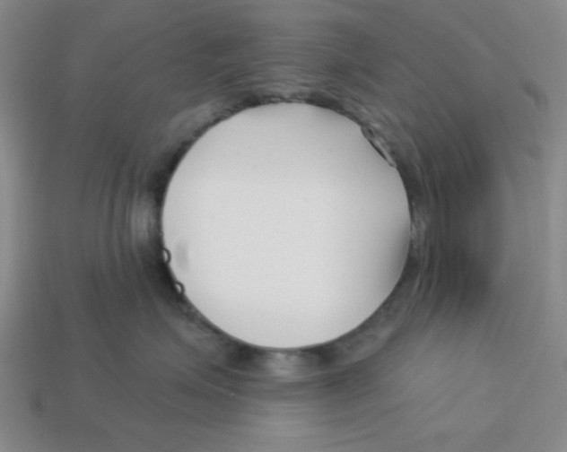 X0000113160623200910021502