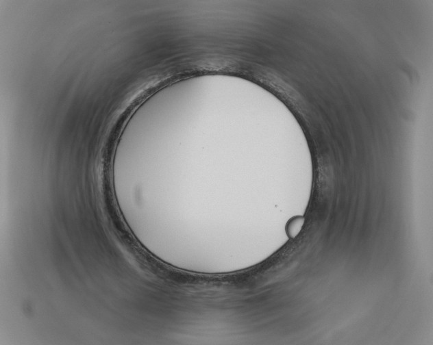 X0000113160626200910021502