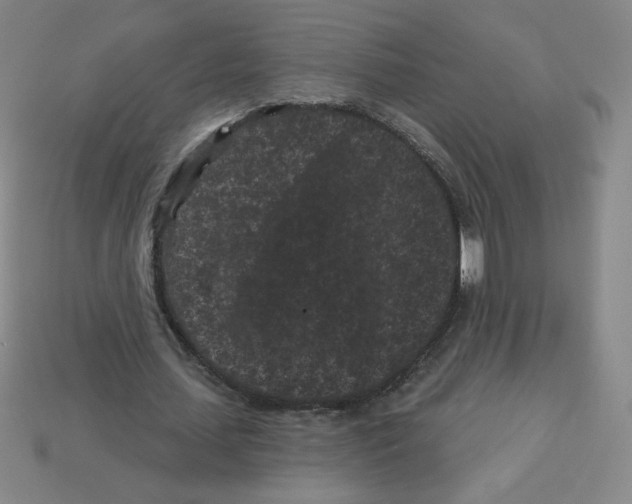 X0000113160627200910021502