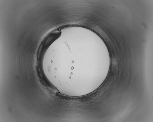 X0000113160628200910021502