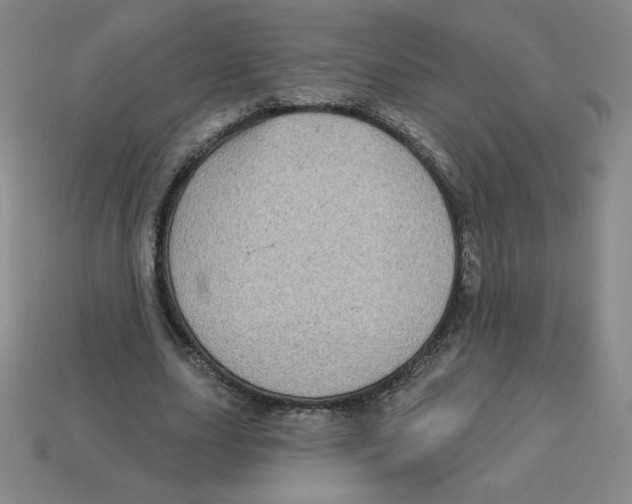 X0000113160631200910021502