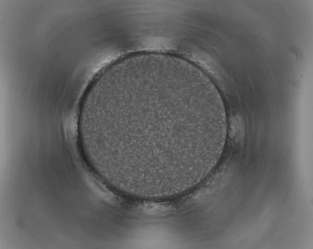 X0000113160632200910021502