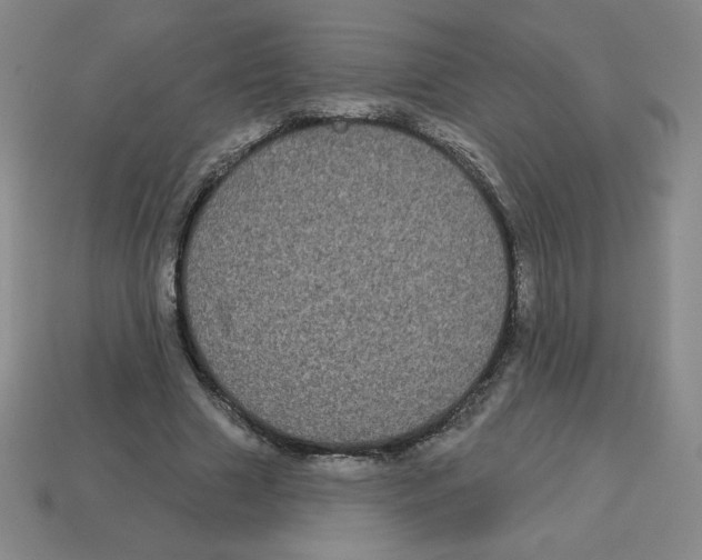 X0000113160633200910021502