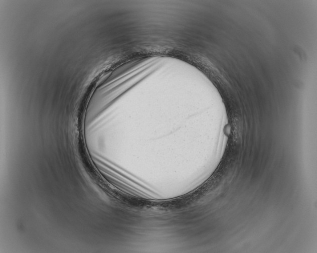 X0000113160634200910021502