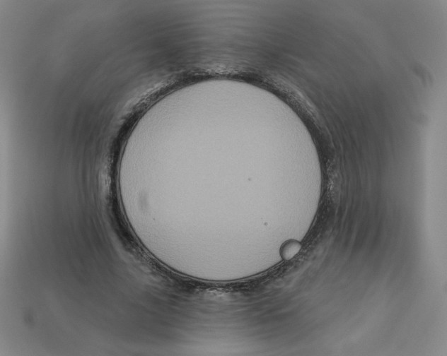 X0000113160635200910021502