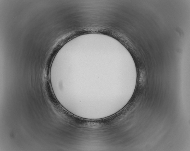 X0000113160636200910021502