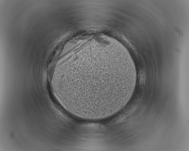 X0000113160637200910021502