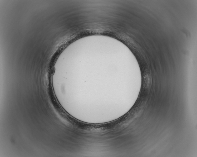 X0000113160638200910021502