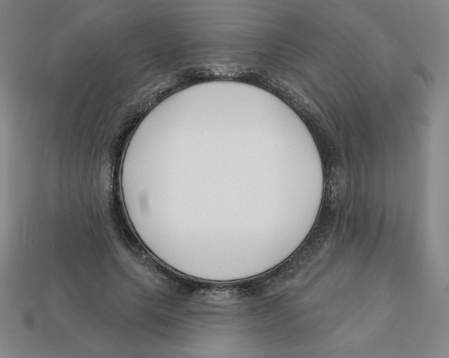 X0000113160639200910021502