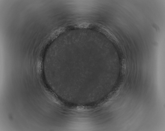 X0000113160641200910021502