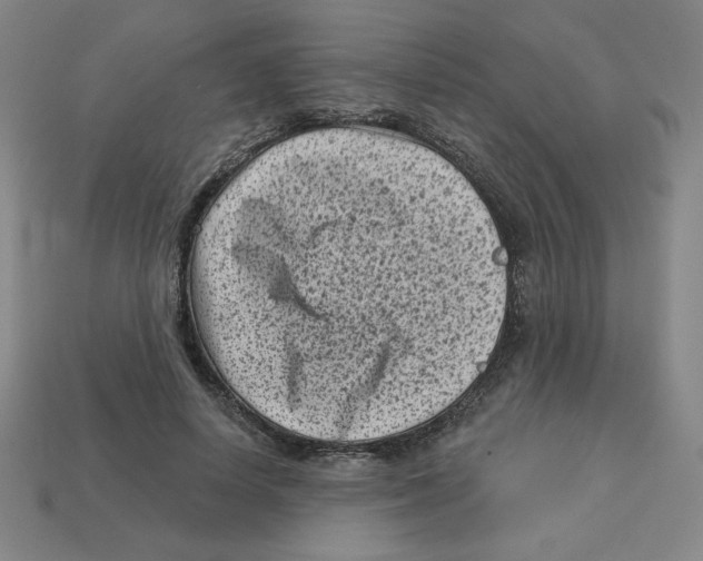 X0000113160642200910021502