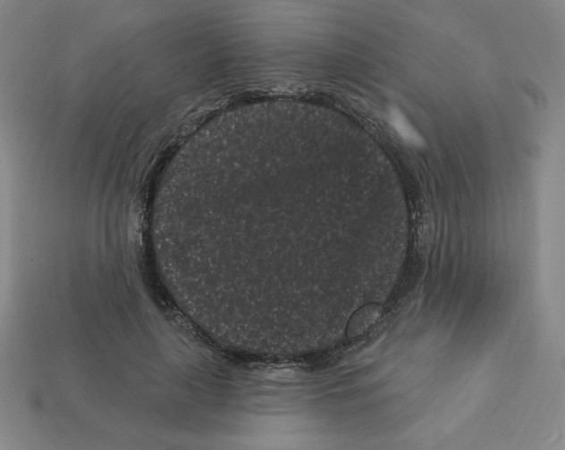 X0000113160643200910021502