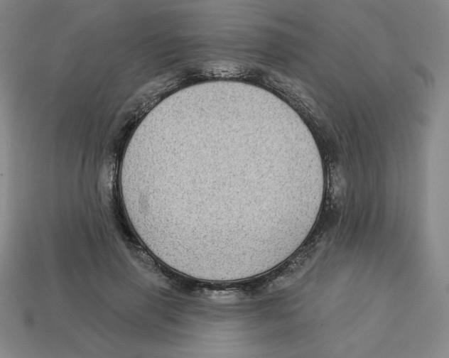 X0000113160645200910021502