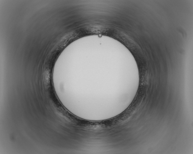 X0000113160646200910021502