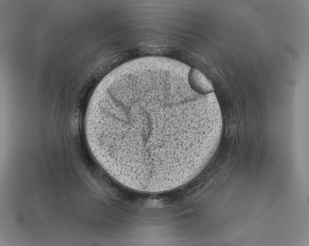 X0000113160647200910021502