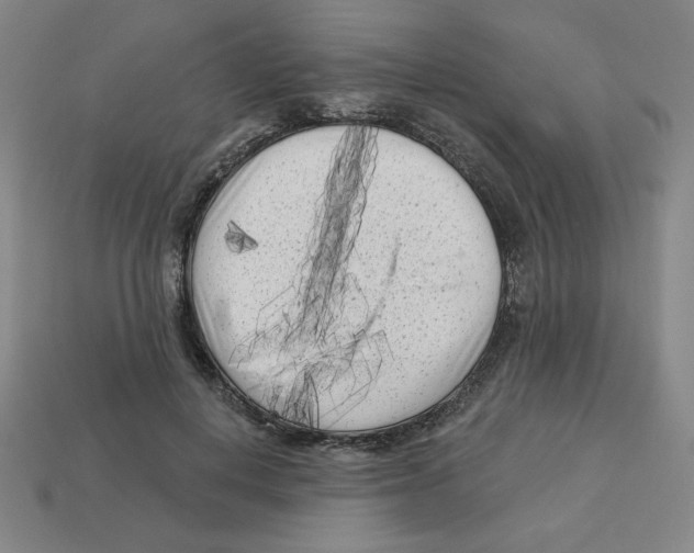 X0000113160648200910021502