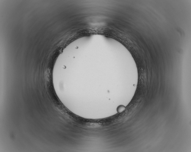 X0000113160649200910021502