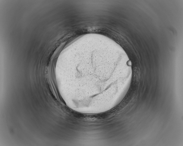 X0000113160650200910021502