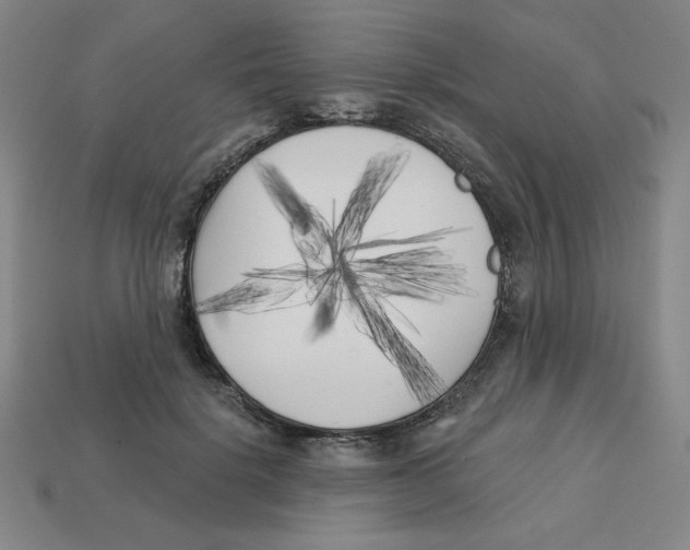 X0000113160652200910021502