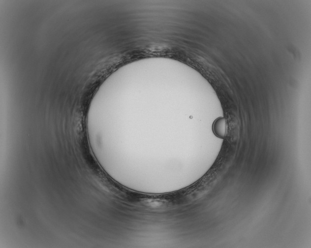 X0000113160654200910021502