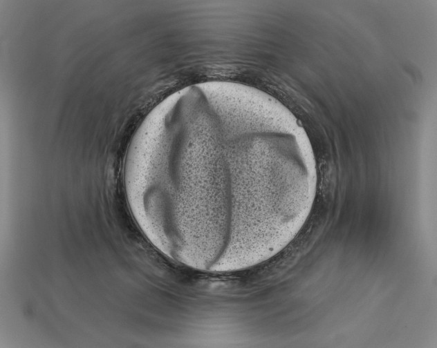 X0000113160655200910021502