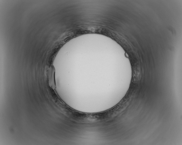 X0000113160656200910021502