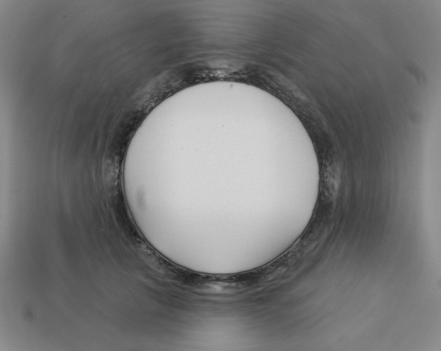 X0000113160657200910021502