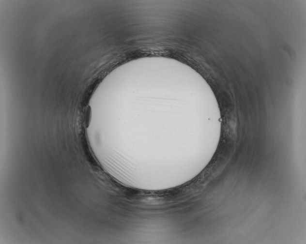 X0000113160658200910021502