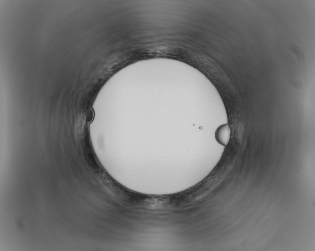 X0000113160660200910021502