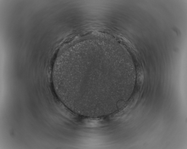 X0000113160661200910021502