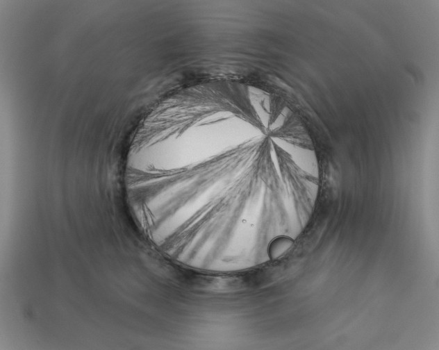 X0000113160663200910021502